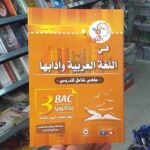 النوابغ ملخص عربية 3 ثانوي علمي