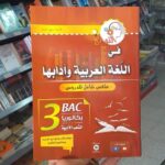 النوابغ ملخص عربية 3 ثانوي ادبي