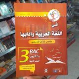 النوابغ ملخص عربية 3 ثانوي ادبي