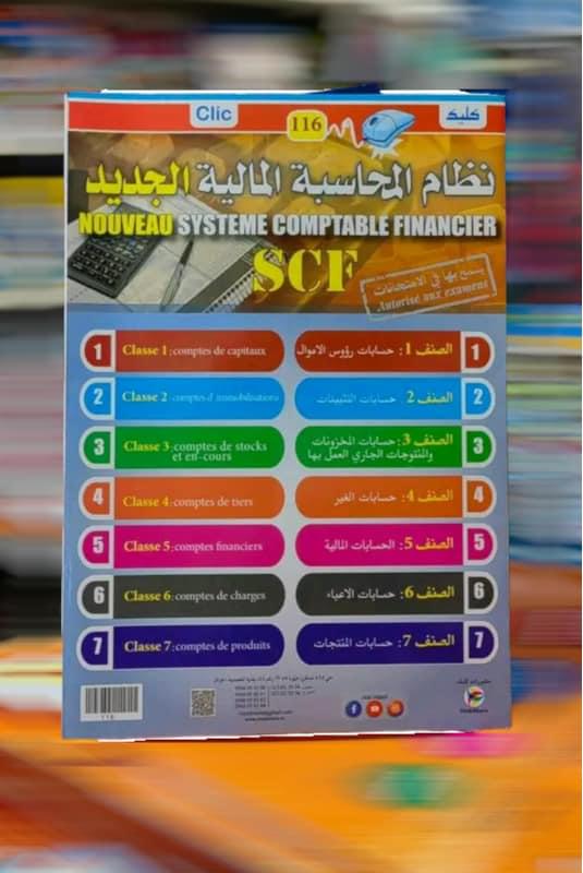 نظام المالية المحاسبة الجديد